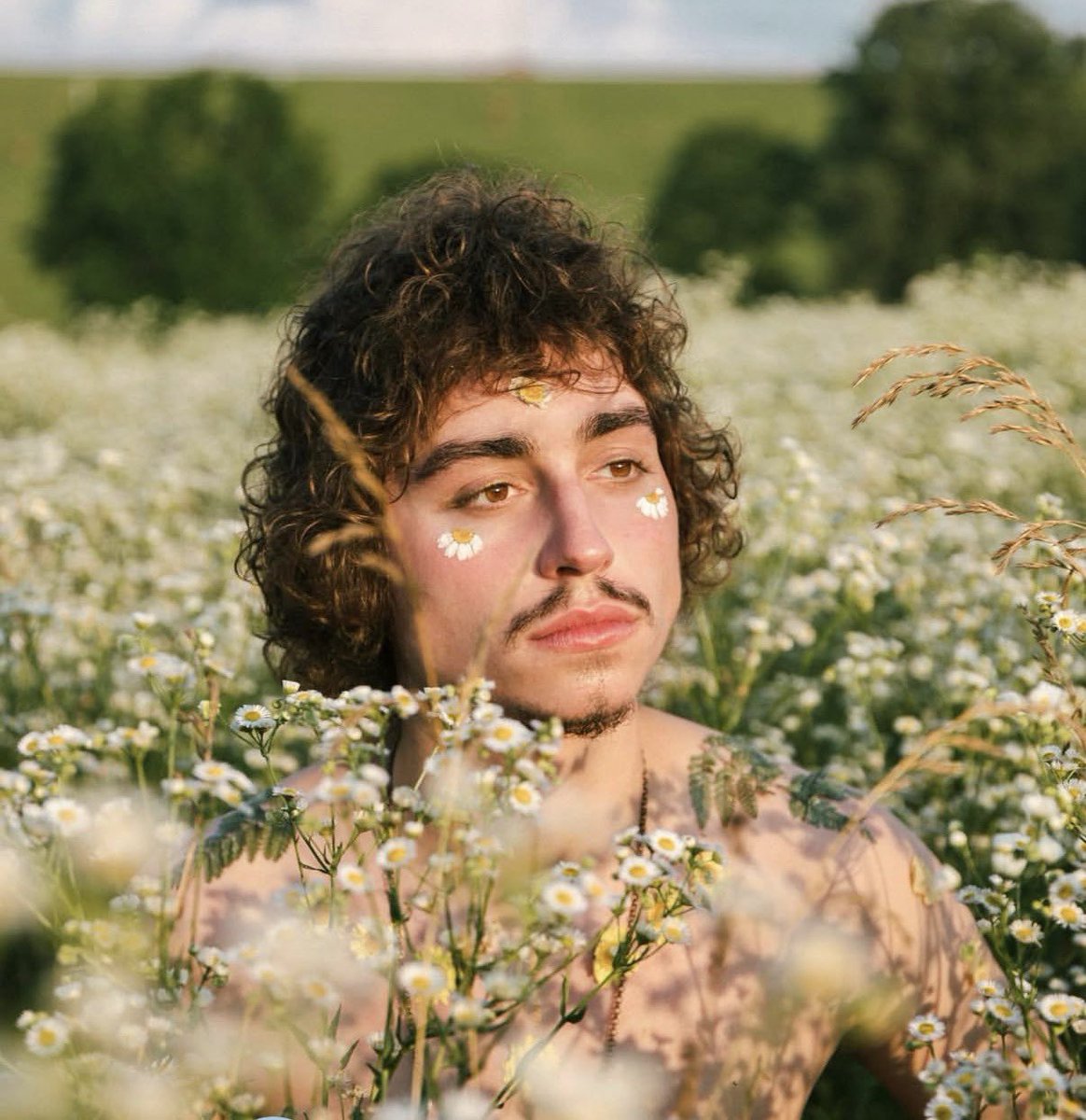 bella 🎞 tweet media