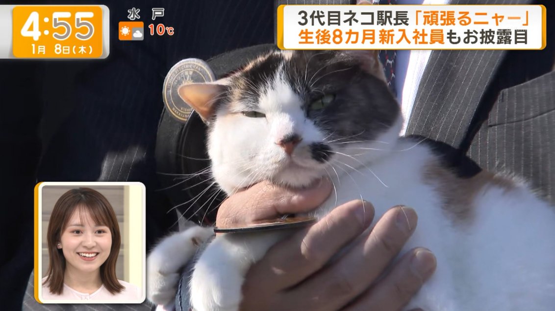 怒ったまんち 怒槌 - SilentBlue.RemyWiki