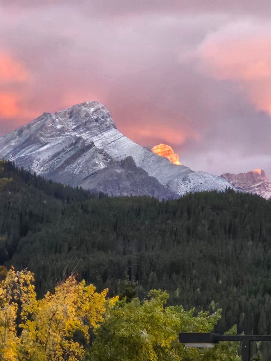 #MakeAWish #MakeawishMN
#Vote Please vote for my photo in the America’s Favorite Photos competition: americasfavoritephotos.com/v/cdrgrc