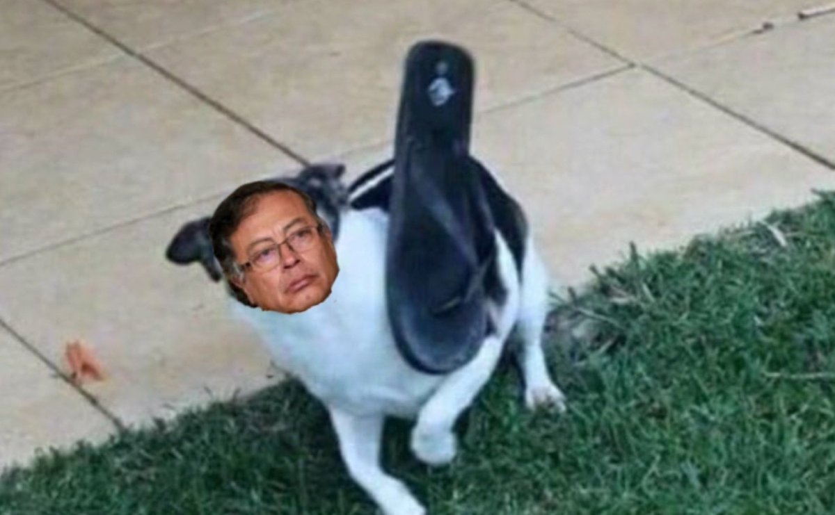 Hecdreys's tweet image. Cállate la boca perro hijueputa