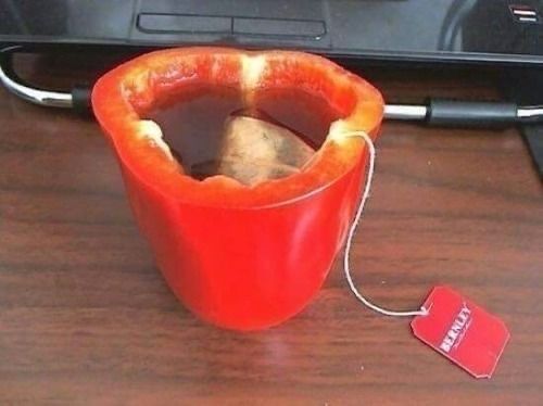 equine__dentist's tweet image. she will be hearing from me tonight