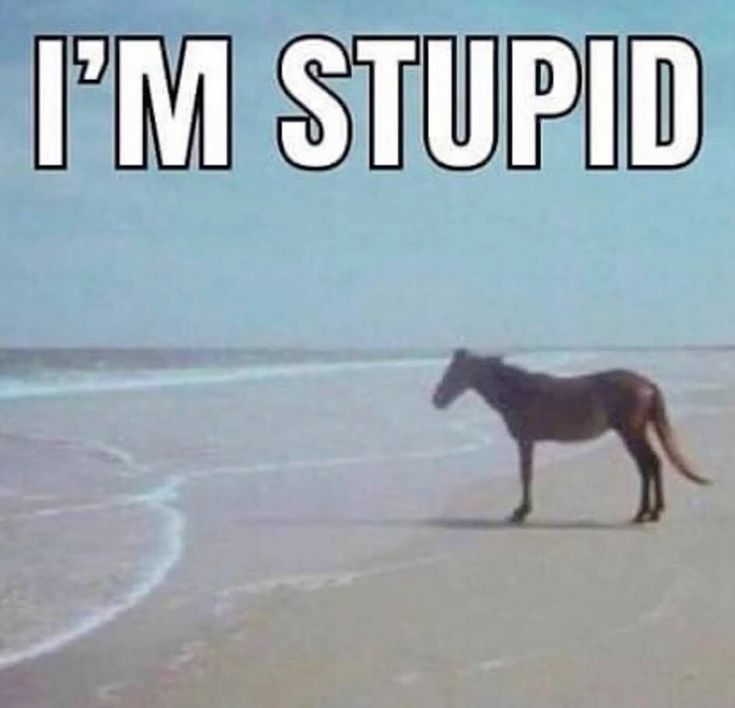 horsetwting's tweet image. 