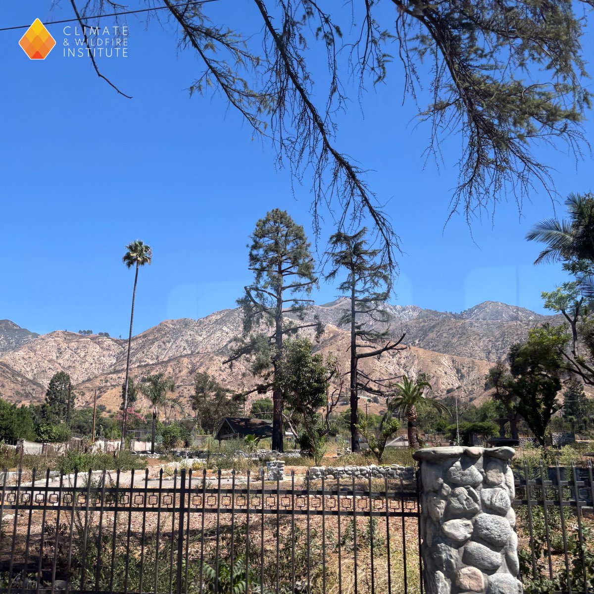 Climate & Wildfire Institute tweet media