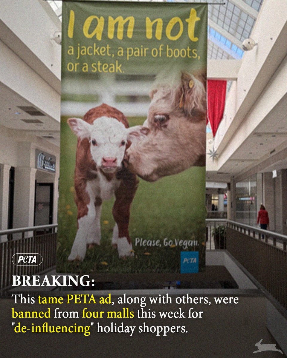peta's tweet photo. Our ads are SO effective at making people think about the animals behind the products on the shelf that malls across New York took them down just days after they went up.
 
But the outrageous attempt to silence PETA’s message has actually amplified it! https://t.co/MXhPVKK8TE https://t.co/baBciS4c7l