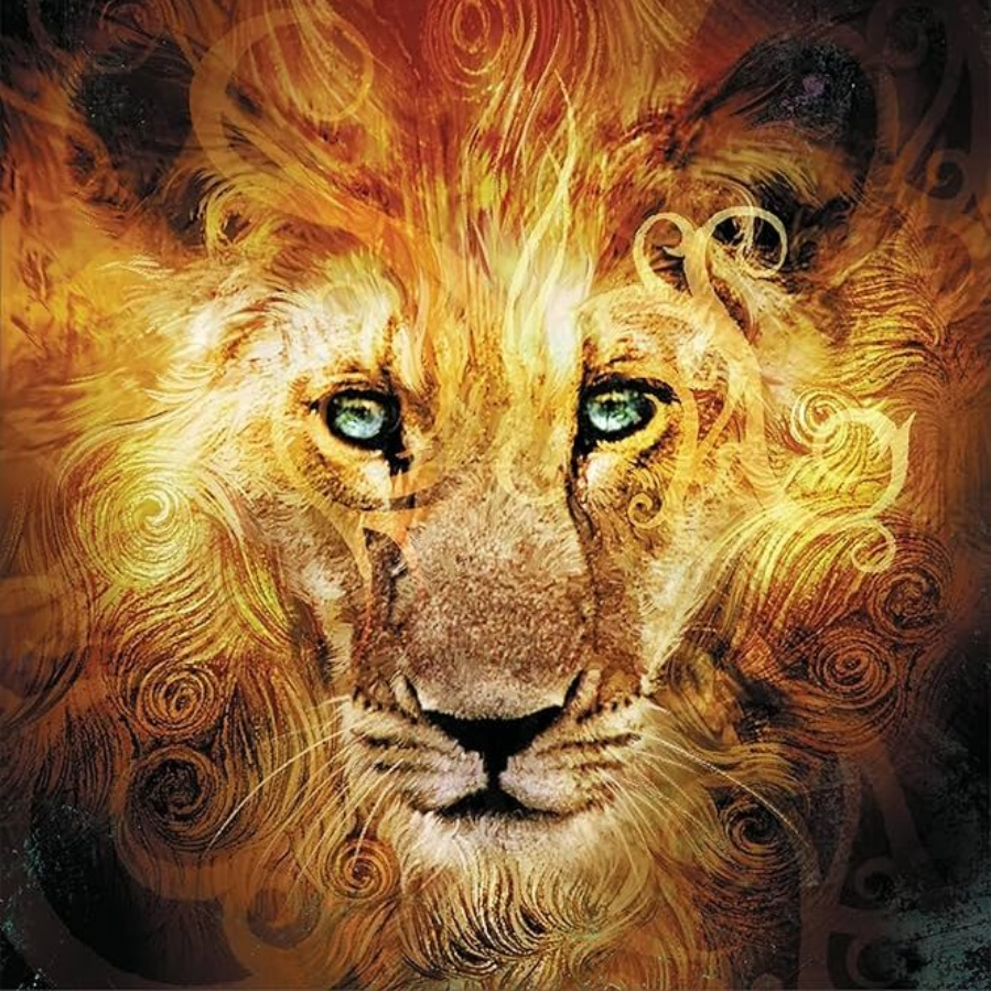 NarniaWeb tweet media