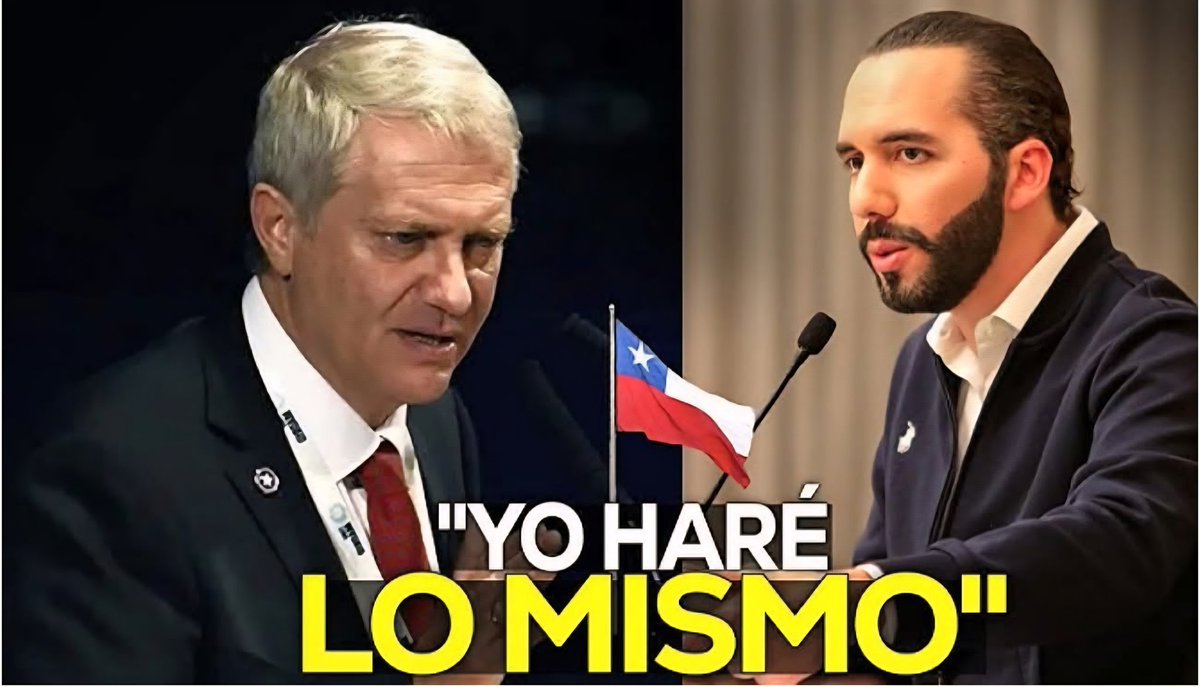 Amalia 🇨🇱🇨🇱 tweet media