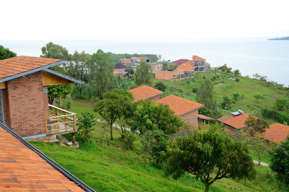 ralgarwanda's tweet photo. Ushaka kuruhukira ahantu hatuje, mu mafu n'amahumbezi y'ikiyaga cya Kivu,no gusura ibyiza nyaburanga nka Pariki ya Gishwati-Mukura!

Rutsiro yongere kuri lisiti y'aho uzasura uyu mwaka (bucket list). Mu myaka 7 hubatswe hoteli 18.
#TemberaRutsiro

✍️@IGIHE:https://t.co/hTzUGV8DtW https://t.co/AjWGtlDPwJ