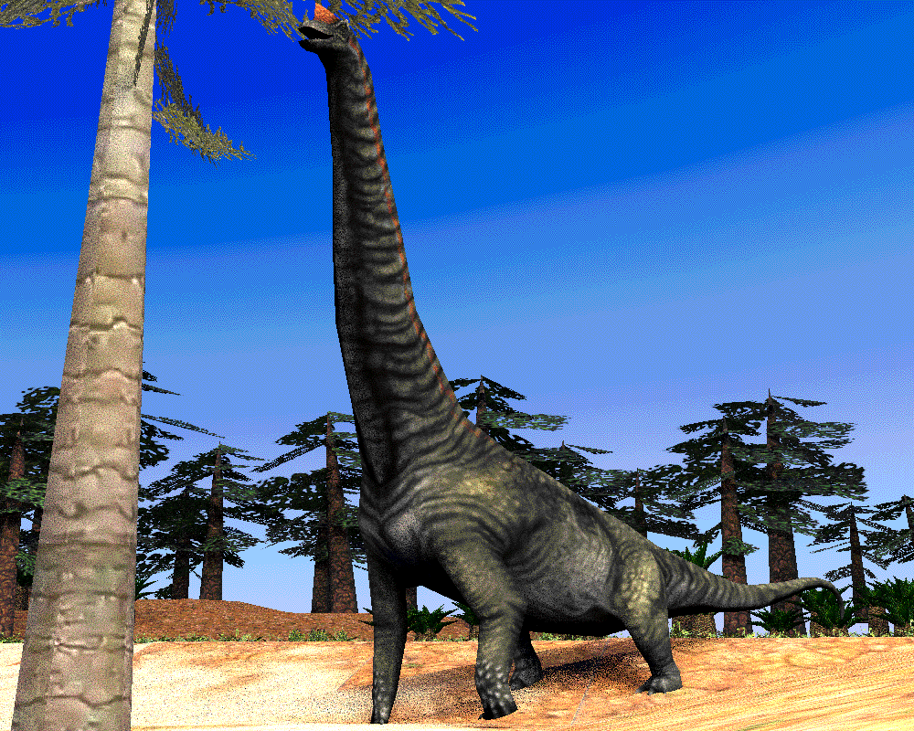 Nova Stein tweet media