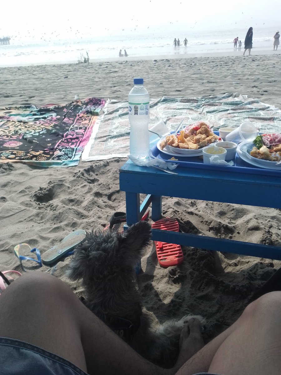 TArmando07's tweet photo. Tranqui en la playita https://t.co/SjPY1lE5iD