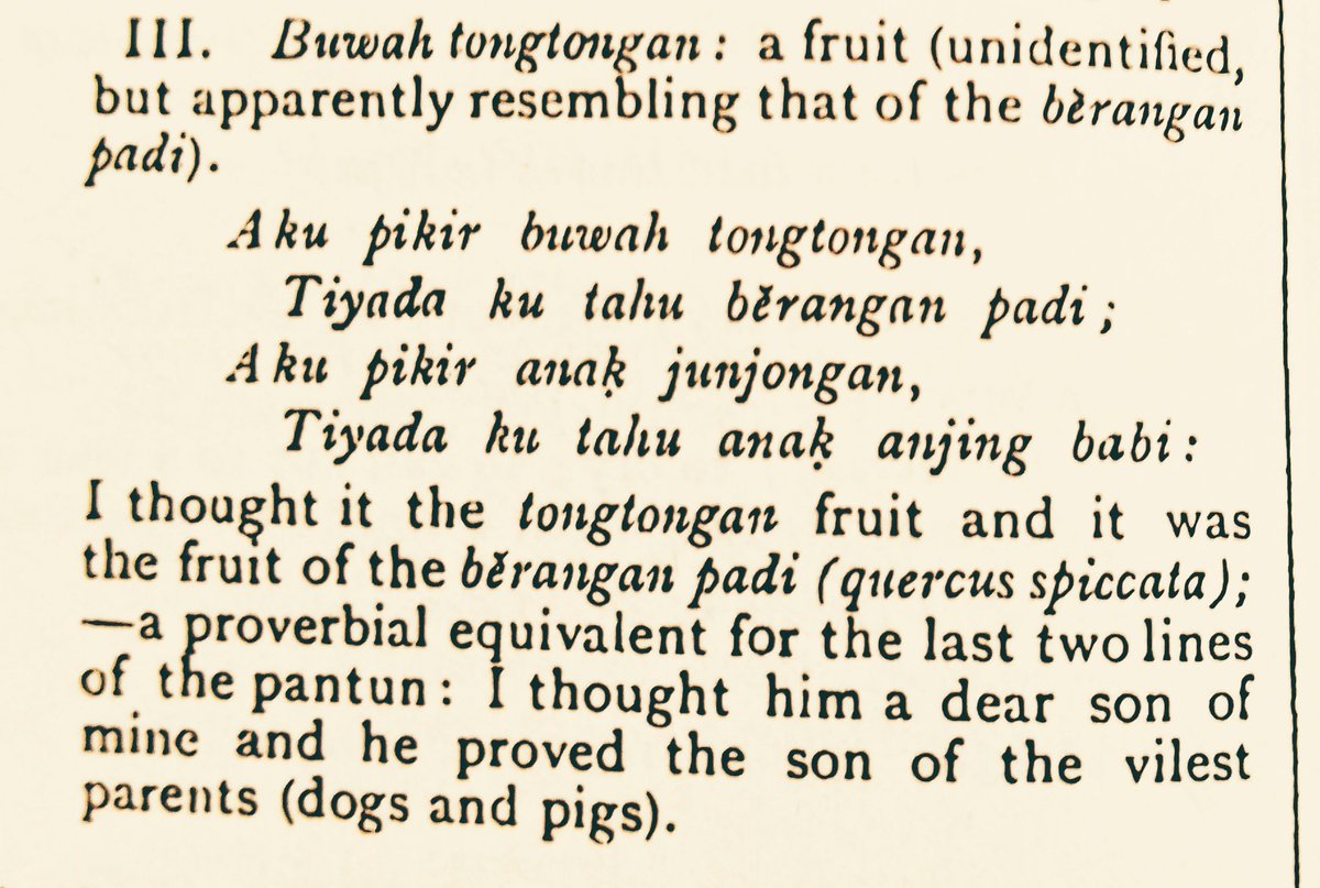 dari cembul peribahasa:

:buah tongtongan - buah tutong, buah tutung (Durio dulcis)

:berangan padi/berangan landak (Quercus spicata)