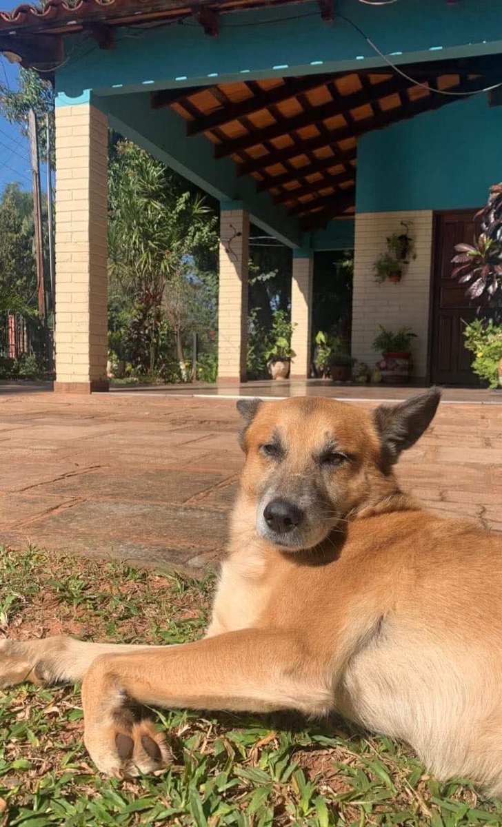 germanPertussi's tweet image. Se me rompió un poquitito el corazón