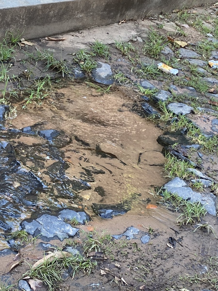 Fanny Corrales Rios. MD 🇵🇾 tweet media