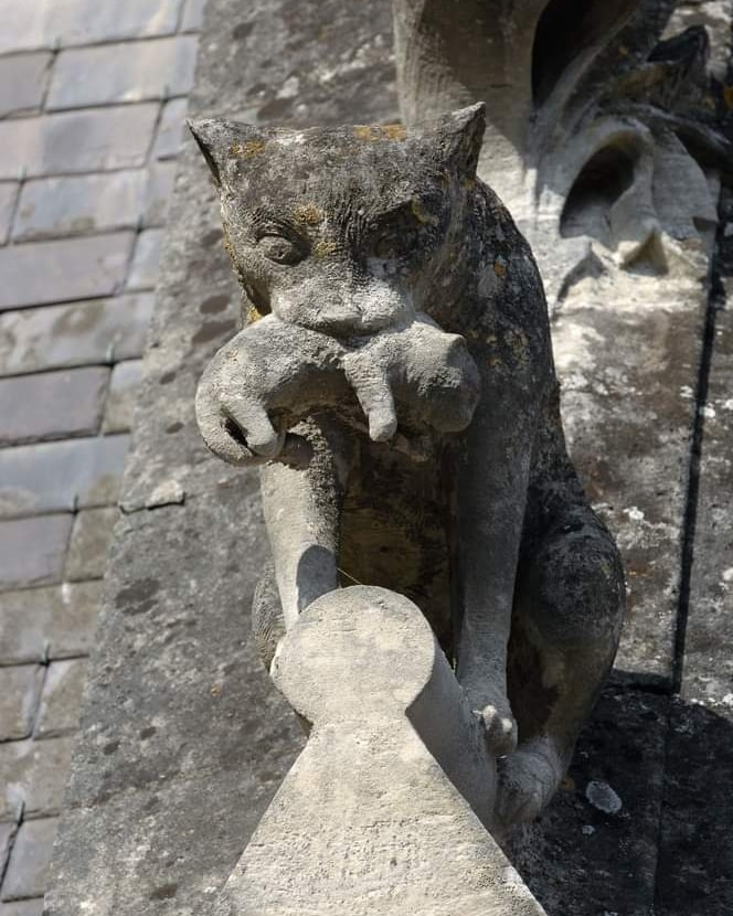 BiancoDavinci's tweet photo. Cat with a kitten statue on the roof of the castle of Château de Pierrefonds, France. It was built between 1393-1407. https://t.co/98JEOqIZky