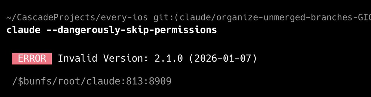 startup error screenshot