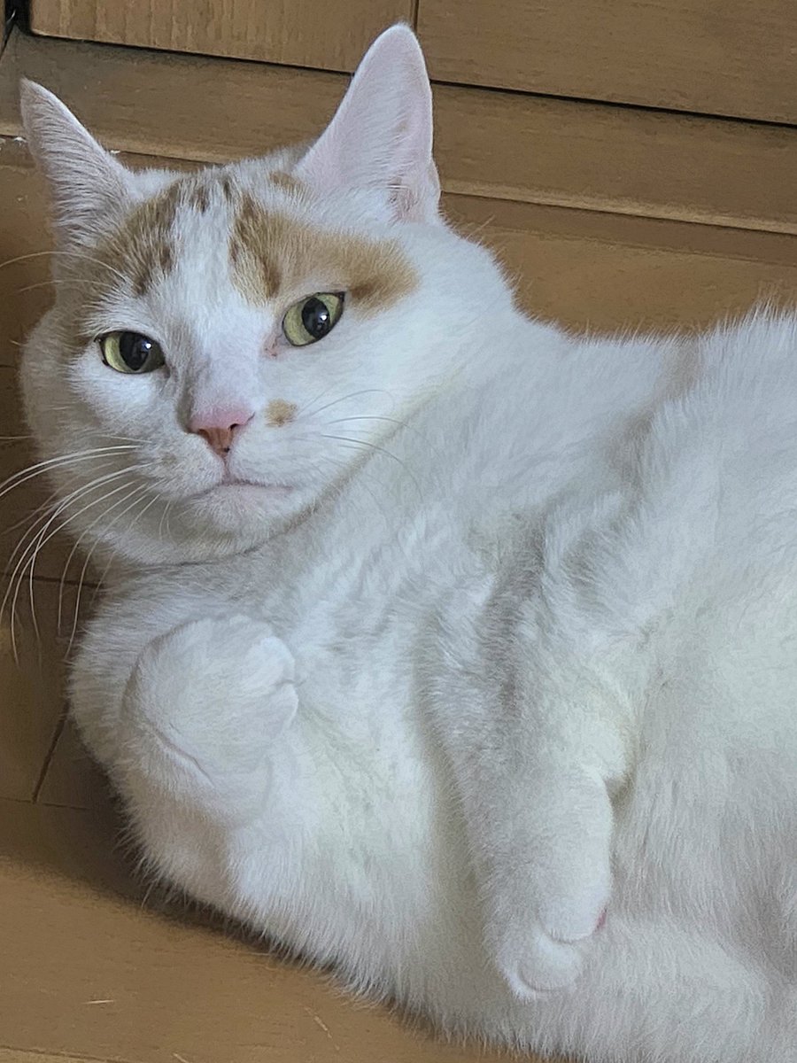 みーちゃん (@pon3767) / Posts / X