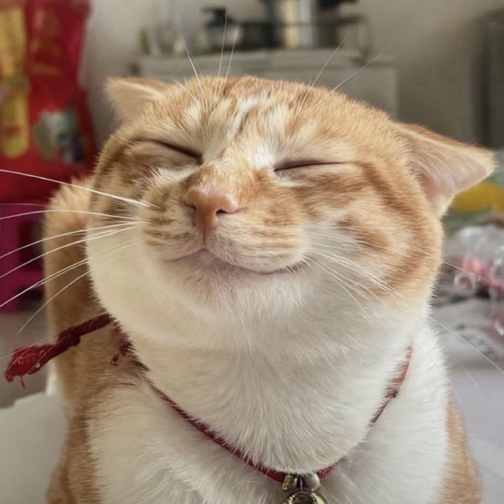 jamesyogurt_'s tweet image. 