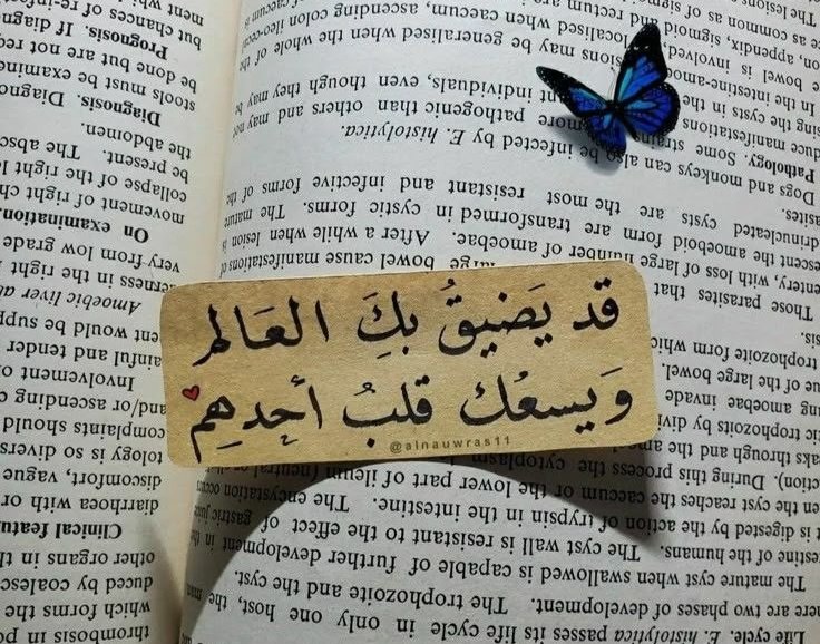 0bblb's tweet image. ويسعك قلبَ أحدهم 🩷🦋