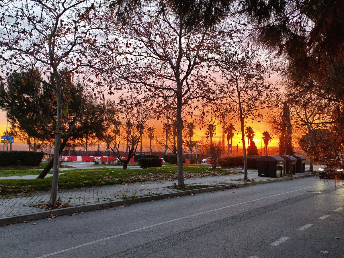 DiSiCo30_872's tweet image. Entramos en el año del debut del Madring en el calendario de F1 y otras categorías

Por ello el domingo aproveché a dar una vuelta por el trazado para ver su estado actual, a falta de 9 meses

Y al igual que hace 2 años, tras su anuncio oficial, os traigo un hilo para mostrároslo