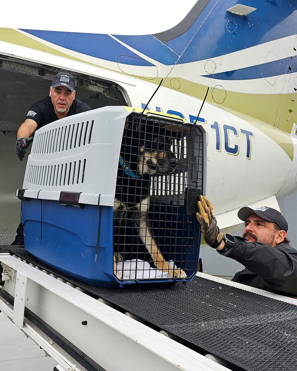 American Humane Society tweet media