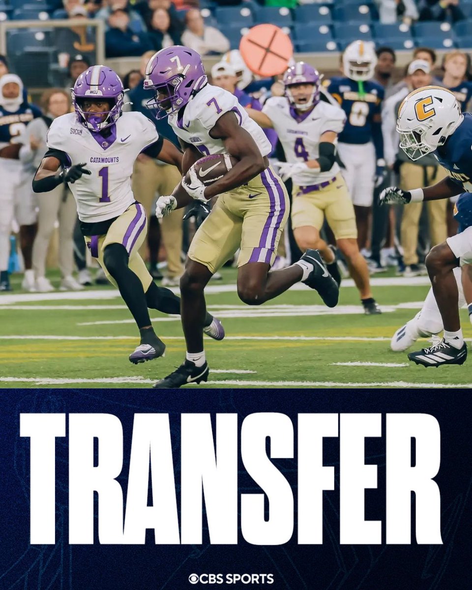 Matt Zenitz tweet media