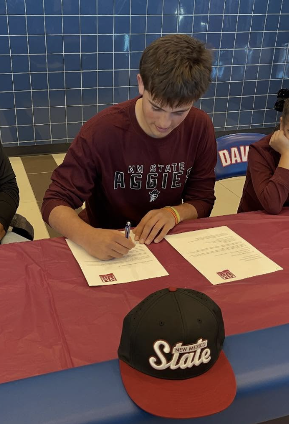 Nick Coppola tweet media