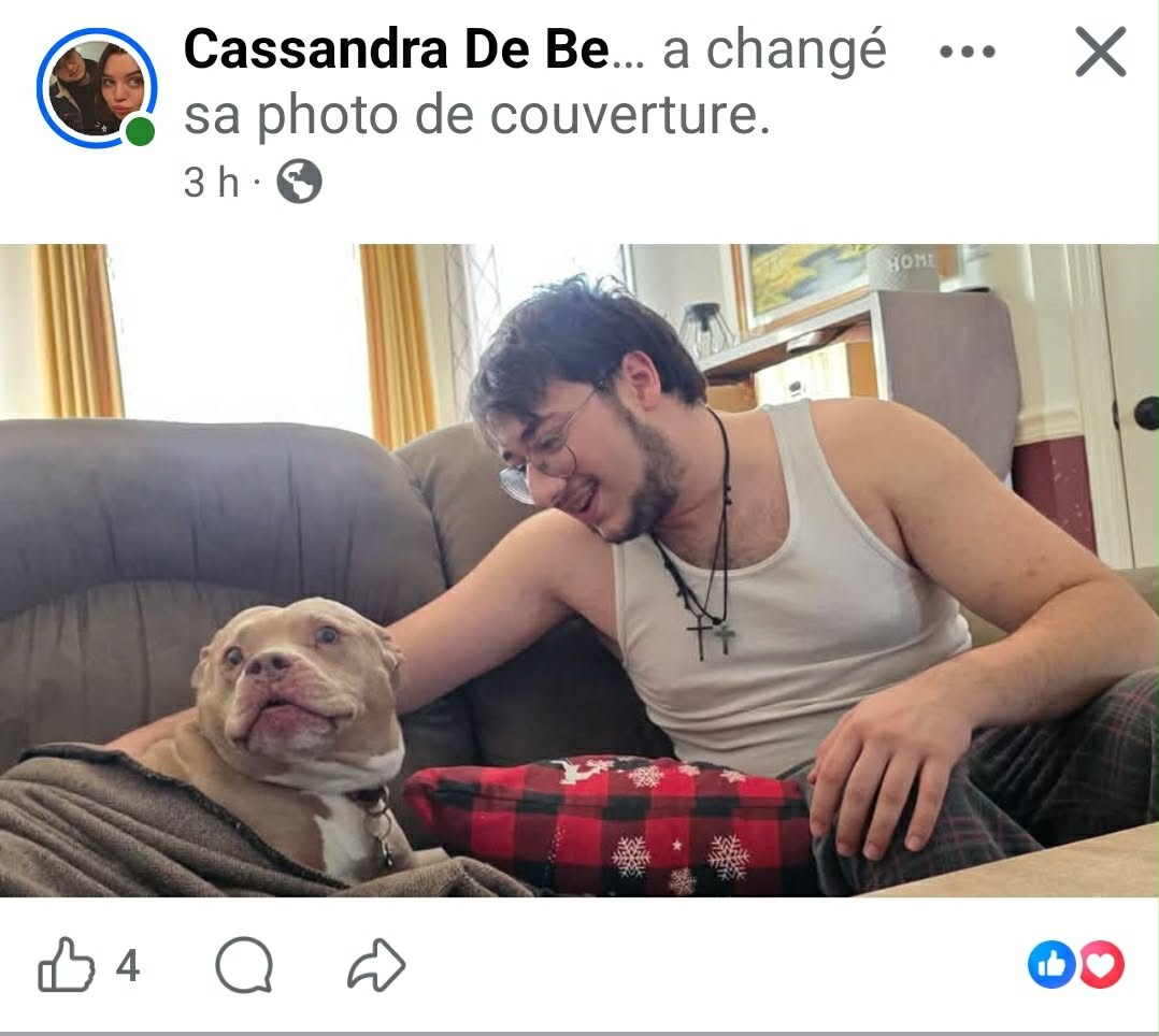 BAD A CS tweet media