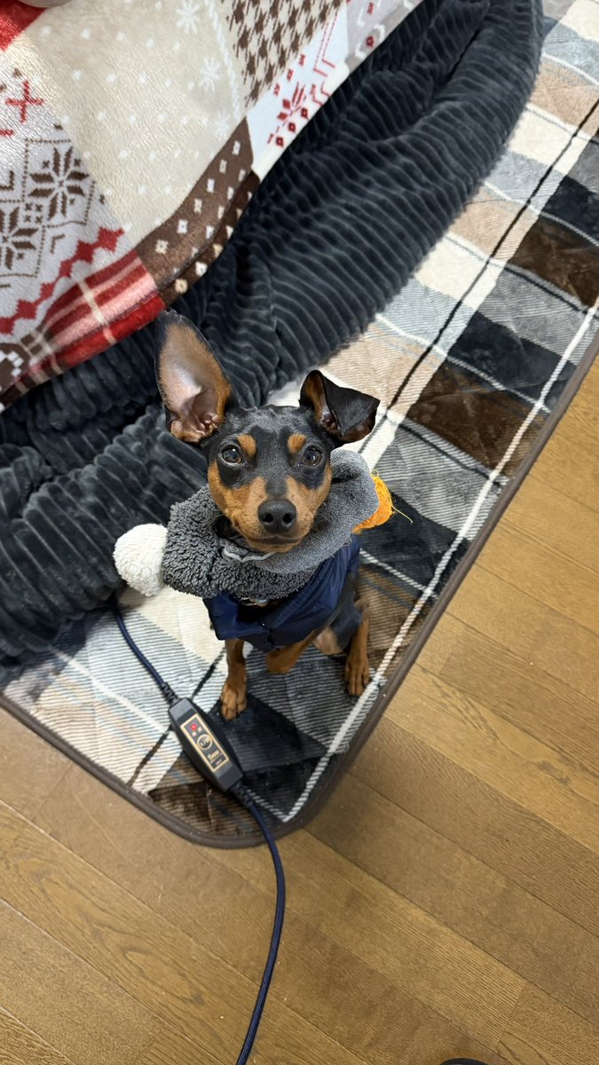 がらぴこ 実験対決 31.32.33.34.35.36.37.39.40 浸透探傷試験（PT）用タイプ1対比試験片50μmの販売 | 太陽物産