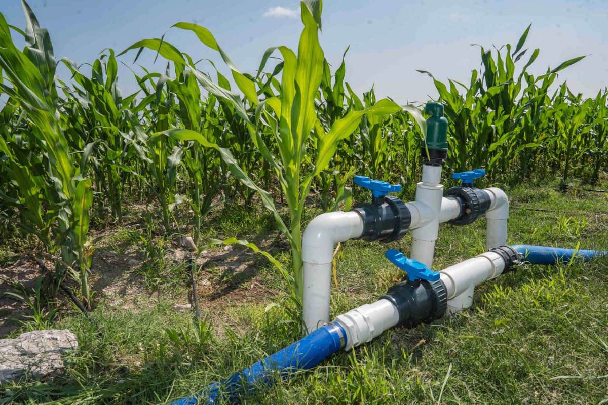 conagua_mx's tweet photo. 📢¡Atención productoras y productores del campo!

El @GobiernoMX  amplía el periodo de inscripción y reinscripción para el programa de subsidios de tarifas eléctricas para el campo, hasta el 28 de abril de 2026.
🚜⚡💧

Más información en: https://t.co/mUFCUV53BF https://t.co/1XROGuNBoD
