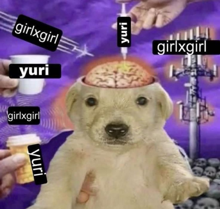 violet_franz's tweet image. "no image can fully represent you"