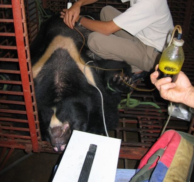 Rubén Pérez tweet media