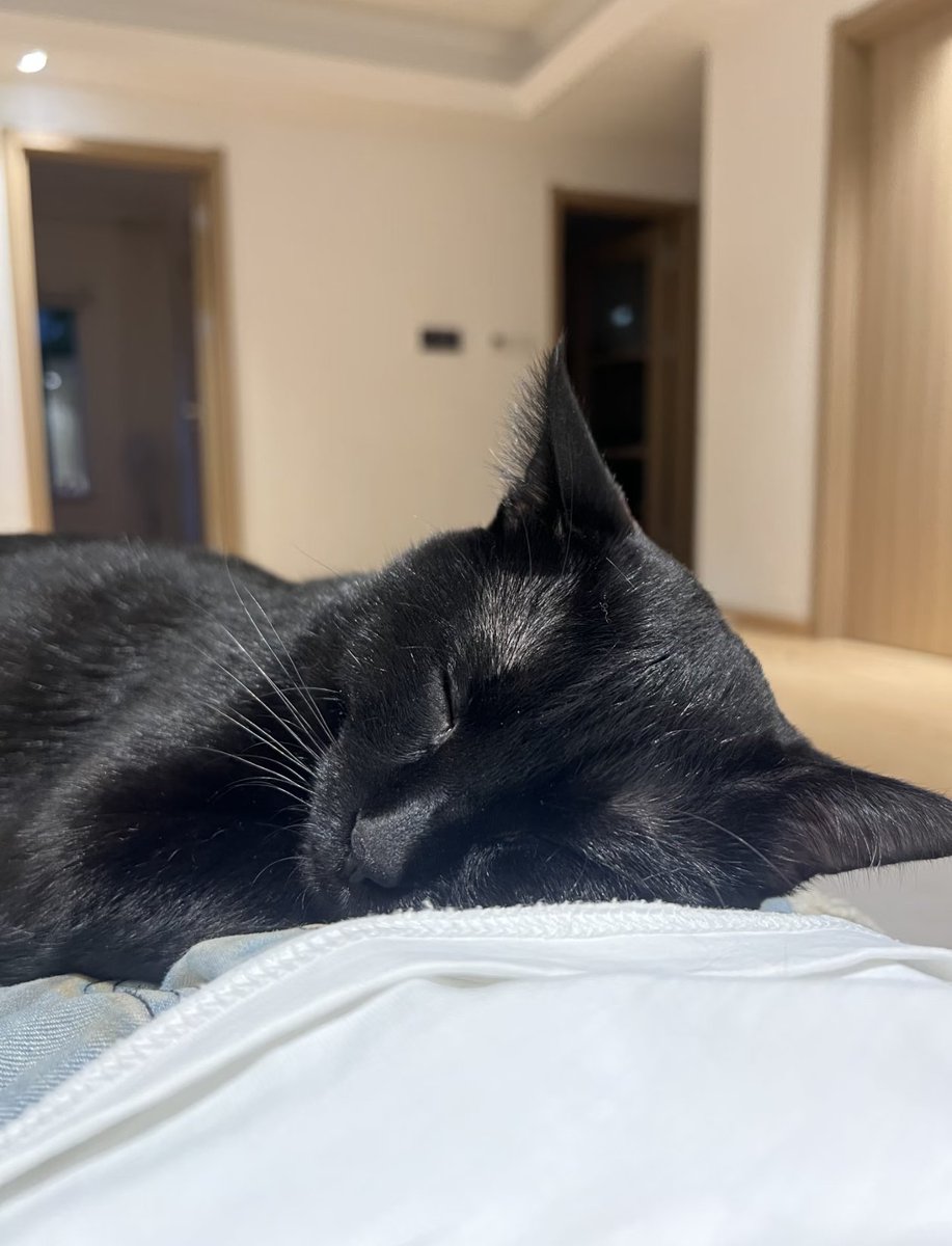 Kathleen tweet media