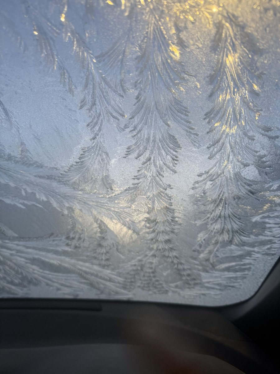 misst72's tweet photo. @GMBWeather a beautiful picture of my car windscreen! I didn’t want to defrost it https://t.co/WXbF7vpRHC