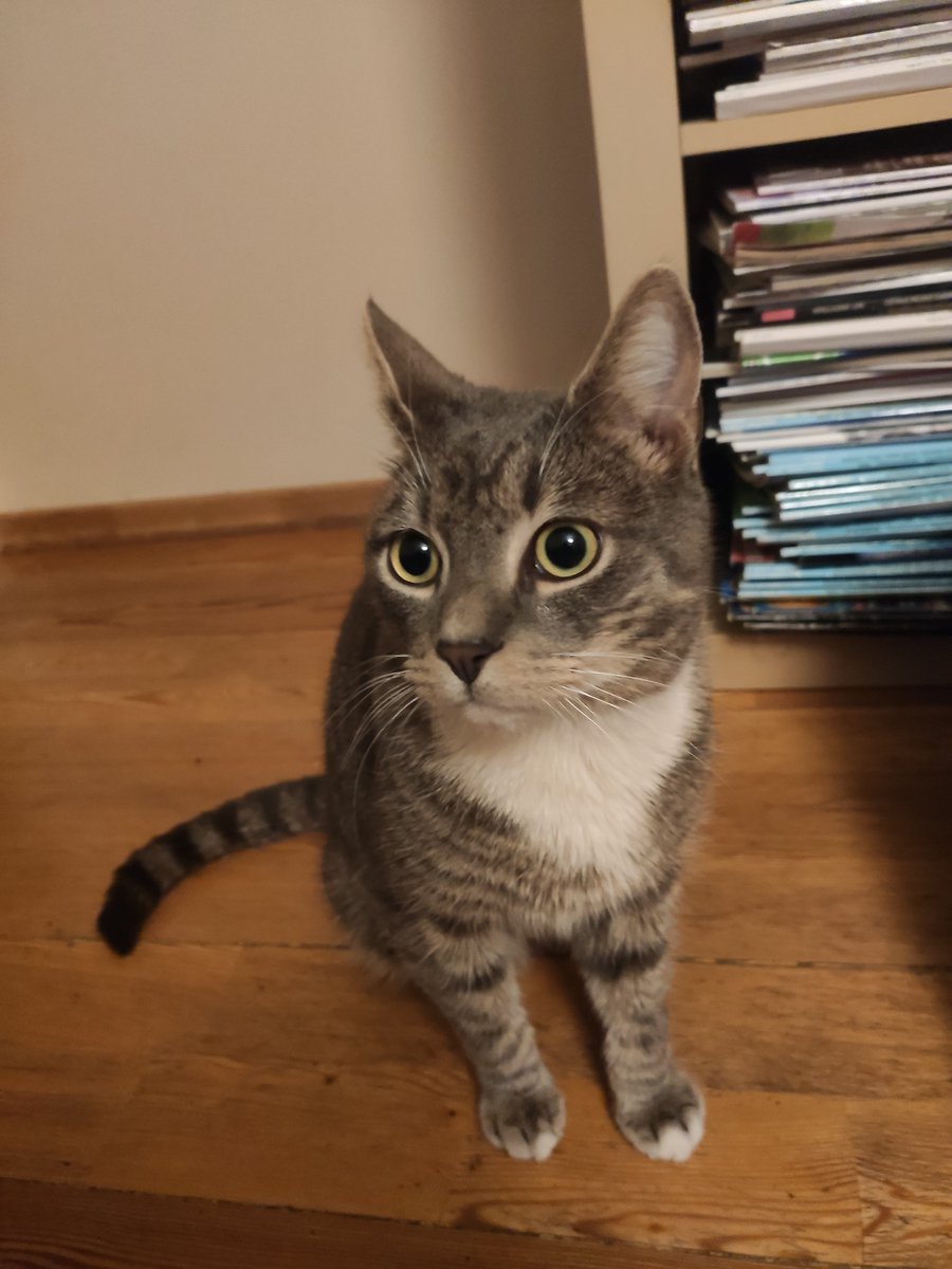 Curious pupil. Full size pupils 👀
🎓🤓