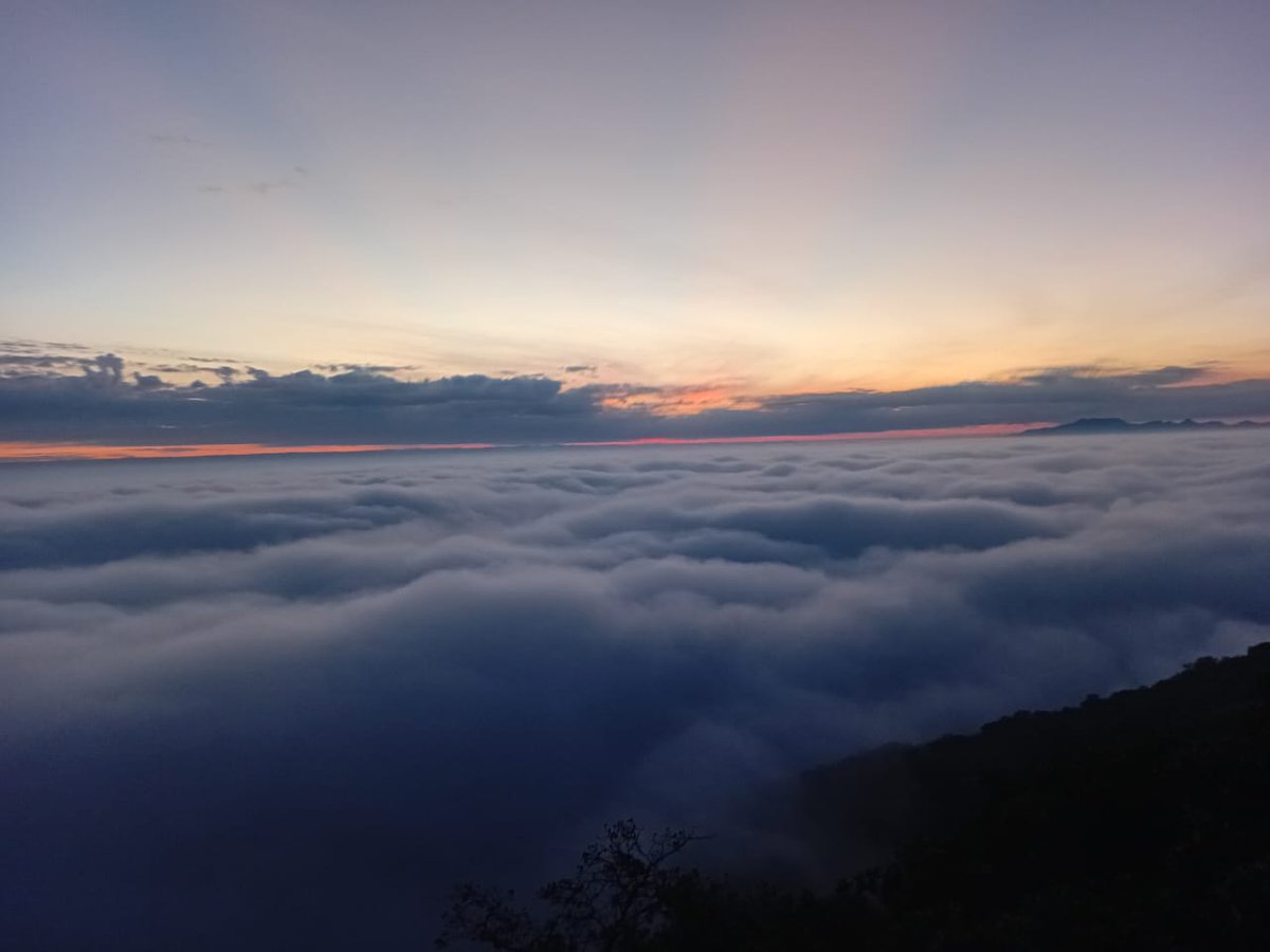 Todos Somos la Sierra de San Miguelito tweet media