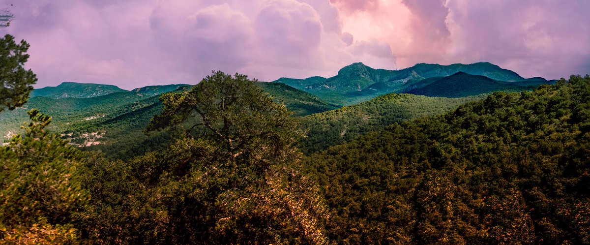 Todos Somos la Sierra de San Miguelito tweet media