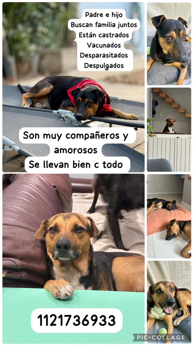 patripeyrou's tweet photo. Difundimos https://t.co/D03ZS2Ol0t