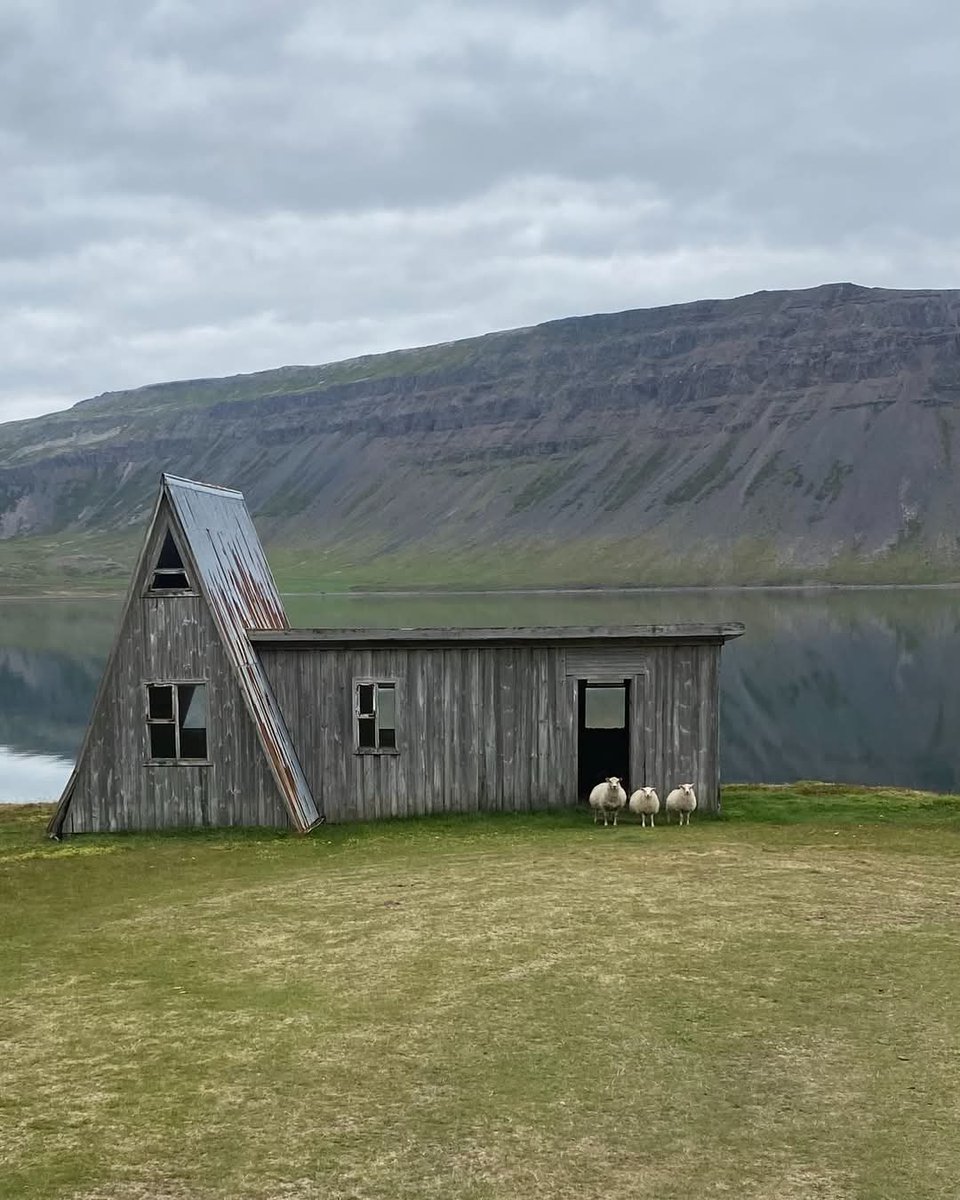 Iceland Cricket tweet media