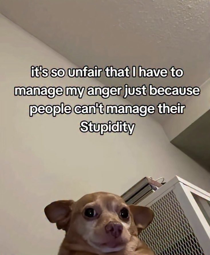 astralbaes's tweet image. 