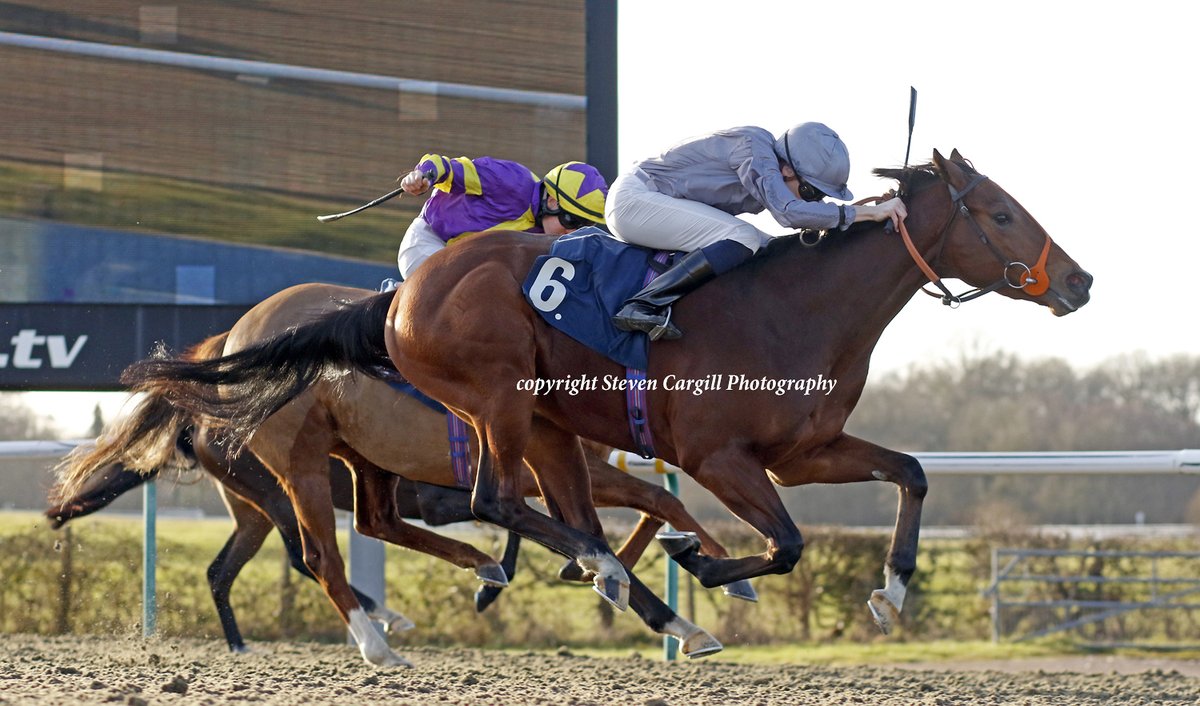 Steven Cargill tweet media