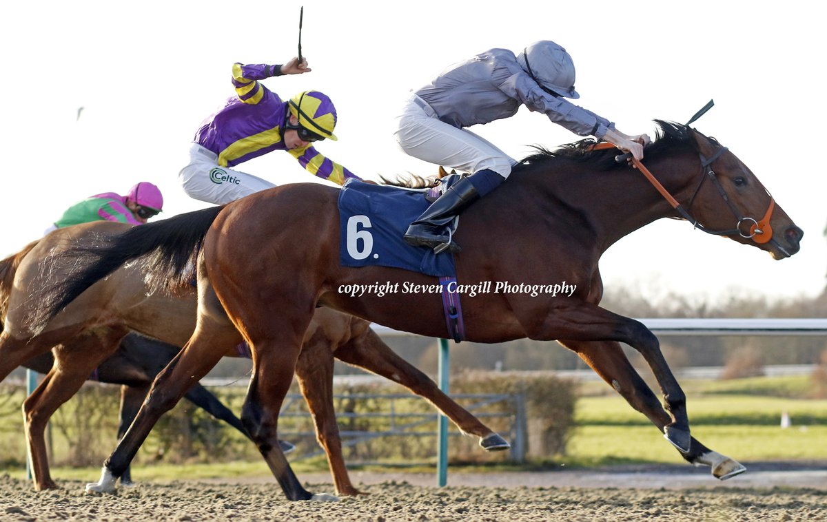 Steven Cargill tweet media