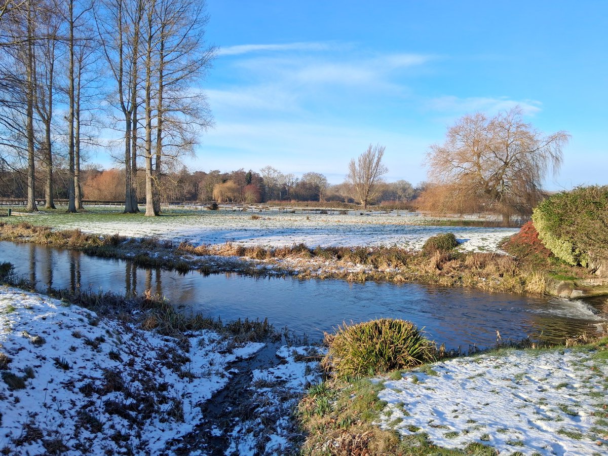 Birding in -4c Yesterday Morning.

Unless these birds are moving, they are very hard to find.  Even when they are moving they are still hard to pin point. Their camouflage is excellent.

COMMON SNIPE Gallinago gallinago
Bintree Mill, Norfolk 
6.1.26