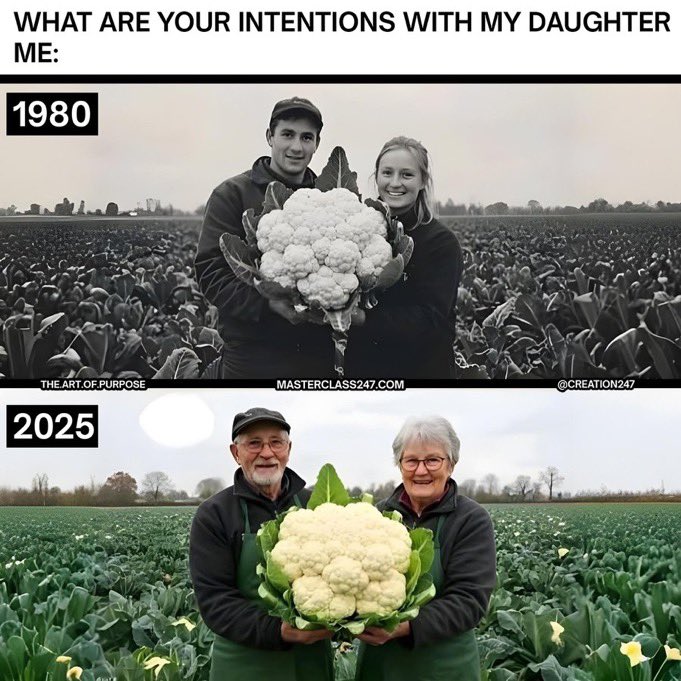 GigaBasedDad's tweet image. This is the way