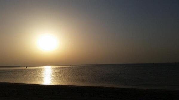 بدر العلي الفيلكاوي 🌐 tweet media