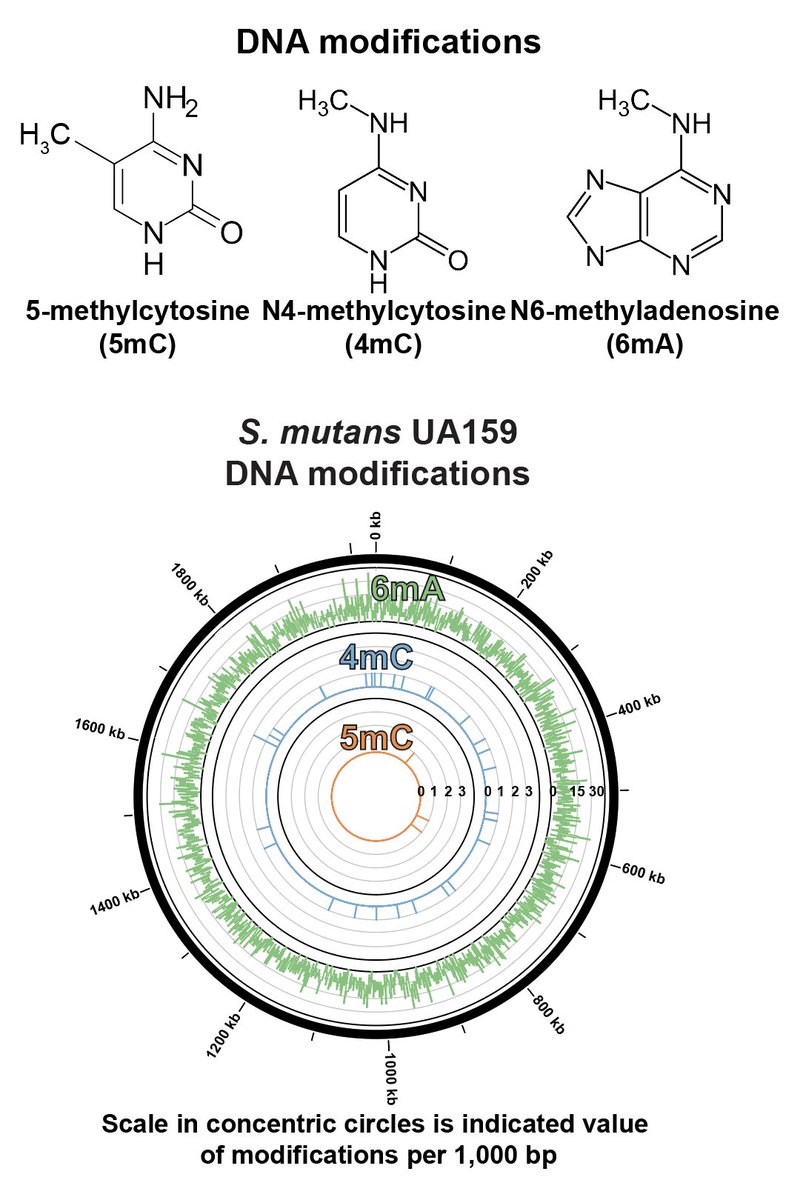 Jonathon Baker, Ph.D. tweet media