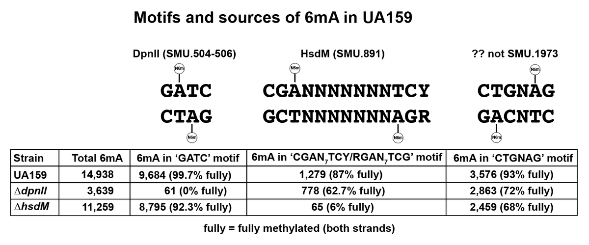 Jonathon Baker, Ph.D. tweet media