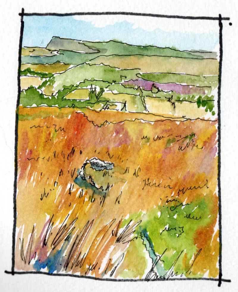 Marksoftime.com

This ruin in Brockaghboy near Garvagh may be the remains of a house abandoned in 1718 Presbyterian migration to the New World