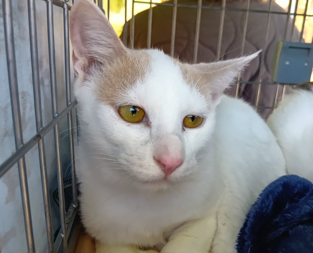 こっこ (@cocco3673) / Posts / X