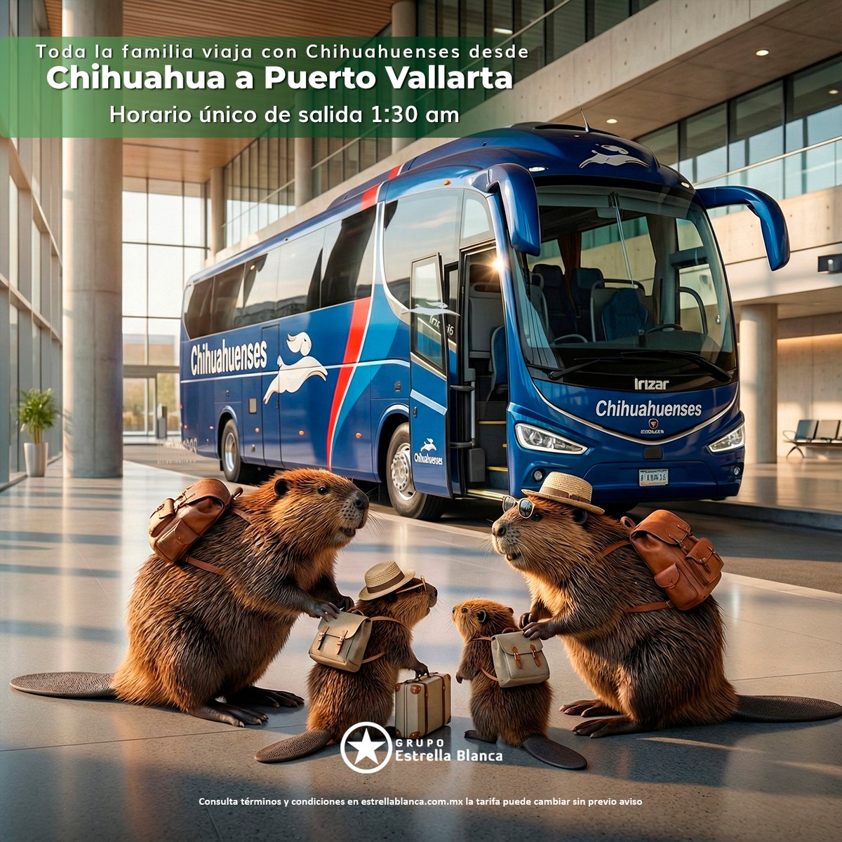 Confort total, cero estrés y la playa esperándote con los brazos abiertos. 😎✨

📲 Compra en la app Estrella Blanca y disfruta de los beneficios
mirutaestrella.com

También puedes adquirirlos en línea 🔗 estrellablanca.com.mx