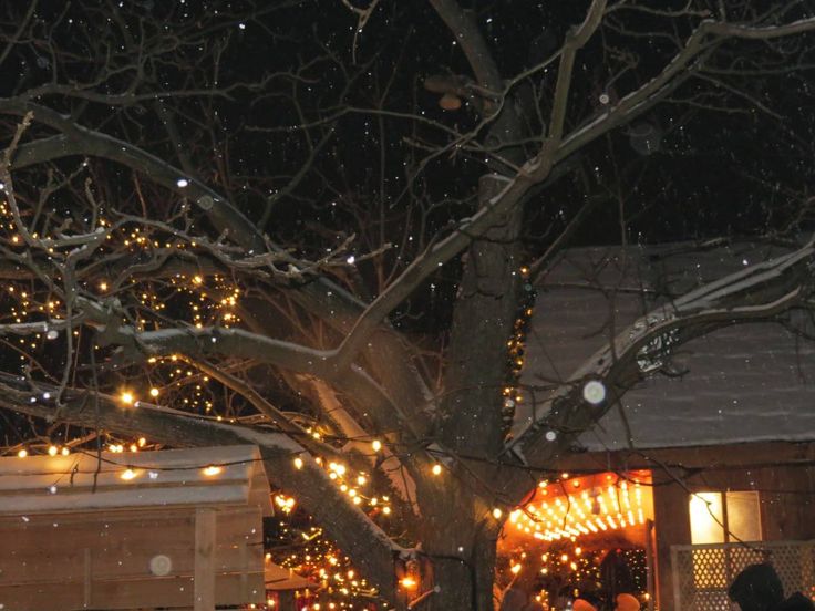 ⠀

кто-то, кажется, собрал все возможные гирлянды, которые остались человечеству. теперь на улице всегда светло, и настроение уже не такое паршивое. джоэл...отказался признаться, что это, как и наряженная ёлка — его рук дело. но я-то знаю, что это был он. всегда он. 

⠀