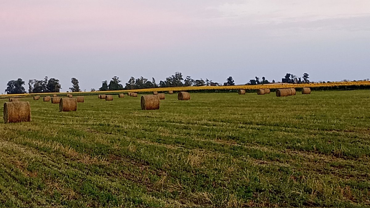 Buenas tardes gente linda!! Vamos por otros rollos en éste 2026 💪💪. Vamos que Vamos 💪💪